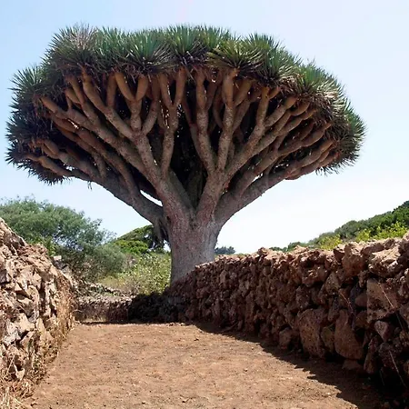 Nyaraló Gran Drago