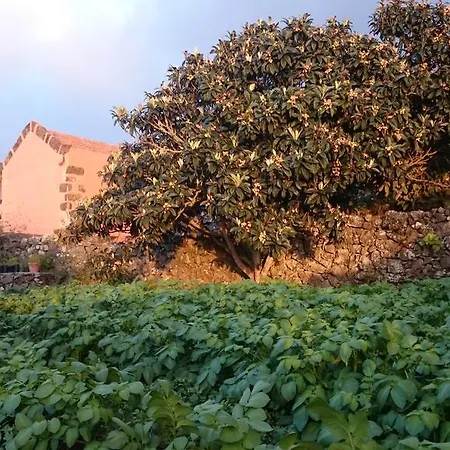 Dom wakacyjny Gran Drago *